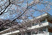 【小学校】東野小学校まで400ｍ