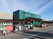 【ホームセンター】カインズ安中店まで1000ｍ
