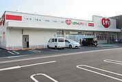 【ドラッグストア】レディ薬局まで750ｍ