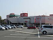 【スーパー】スーパーマーケットバロー 星川店まで870ｍ