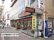 【その他】コメダ珈琲まで300ｍ