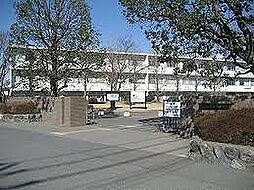 [周辺] 【高校】埼玉県立寄居城北高等学校まで350ｍ