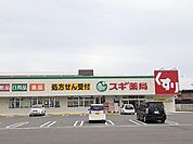 【ドラッグストア】スギ薬局玉垣店まで1033ｍ