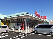 【ドラッグストア】保津ウォンツ店まで1600ｍ