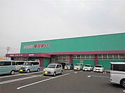 【ドラッグストア】コスモス観音寺店まで1000ｍ