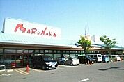 【スーパー】マルナカ檀紙店さんまで560ｍ