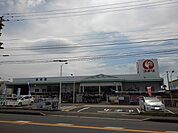 【ホームセンター】コメリハード＆グリーン綾歌店まで1700ｍ