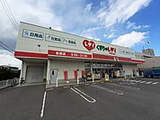 【ドラッグストア】くすりのレデイ志度店さんまで480ｍ
