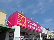 【ドラッグストア】岩？チェーン平田店まで260ｍ