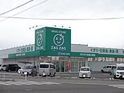 【ドラッグストア】ザグザグ丸亀三条店まで550ｍ