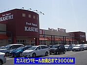 【スーパー】カスミビバモール加須店まで3000ｍ