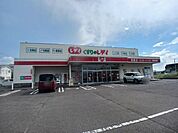 【ドラッグストア】くすりのレディ長尾店さんまで170ｍ