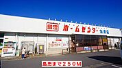 【ホームセンター】島忠まで250ｍ
