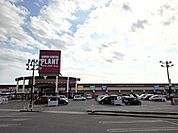 【スーパー】ＰＬＡＮＴ善通寺店まで700ｍ