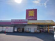 【ドラッグストア】クスリ岩崎チェーン下松花岡店まで270ｍ