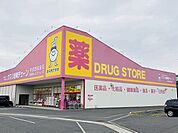 【ドラッグストア】岩崎チェーン宇部西岐波店まで1600ｍ