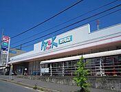 【スーパー】アルク秋月店まで700ｍ