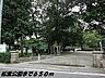 周辺：【公園】松葉公園まで650ｍ