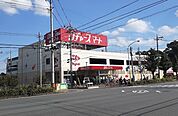 【スーパー】ロヂャースマート　大和田店まで300ｍ