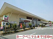 【スーパー】ヨークベニマルまで1030ｍ