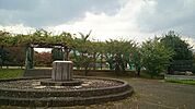【公園】川口中央公園まで31ｍ