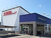 【スーパー】大阪屋ショップ藤木店まで1300ｍ