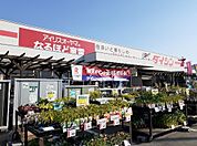 【ホームセンター】ダイシン古川店まで500ｍ