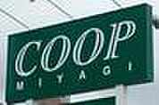 【スーパー】COOPまで550ｍ