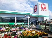 【ホームセンター】コメリハード＆グリーン志波姫店まで350ｍ
