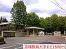 周辺：【大学】宮城教育大学まで1500ｍ