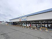 【ドラッグストア】カワチ薬品まで1000ｍ