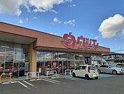 【スーパー】ウジエスーパー中里店まで500ｍ