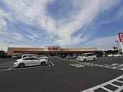【スーパー】ウジエスーパー築館店まで1000ｍ