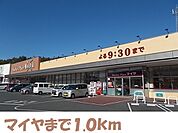 【スーパー】マイヤ気仙沼バイパス店まで1000ｍ