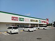【ドラッグストア】スギ薬局能登川店様まで770ｍ