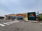 【スーパー】Ａコープ槻木店まで1300ｍ