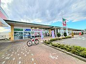 【スーパー】ヨークベニマル柴田店まで1200ｍ