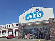 【ドラッグストア】クスリのアオキ赤田店まで700ｍ