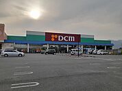 【ホームセンター】DCM 甲州店まで1000ｍ