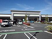 【スーパー】アマノパークス甲府バイパス店まで1000ｍ
