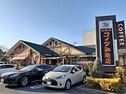 【その他】コメダ珈琲店 京都伏見店まで220ｍ