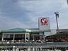 周辺：【ホームセンター】コメリまで600ｍ