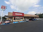 【スーパー】カスミ テクノパーク桜店まで1100ｍ