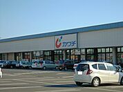 【ドラッグストア】カワチ薬品まで500ｍ