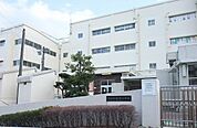 【小学校】飯島小学校まで916ｍ