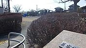 【公園】原宿公園まで150ｍ