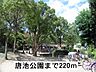 周辺：【公園】唐池公園まで220ｍ