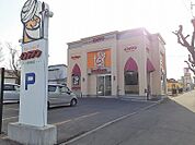 【その他】インデアンまで59ｍ