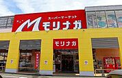 【スーパー】モリナガ本庄店まで700ｍ