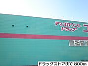 【ドラッグストア】ドラッグストアまで800ｍ
